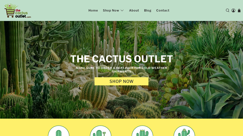 Cactus for Sale Online