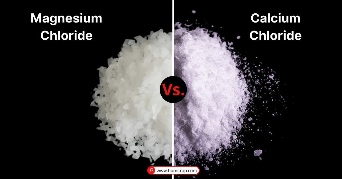 Calcium Chloride & Magnesium Chloride Supplier