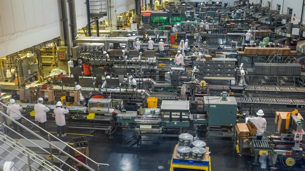 California Seed Companies industry insight