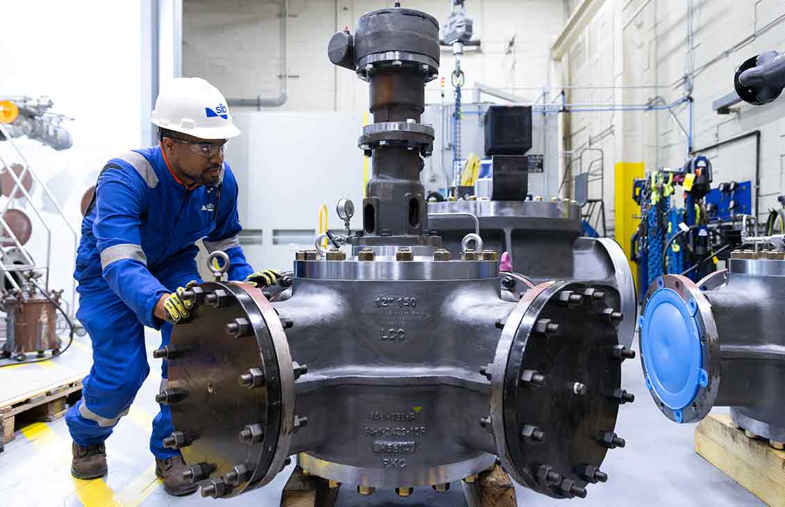 Cameron Valves Distributors industry insight