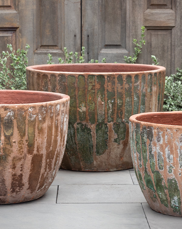 Campania International