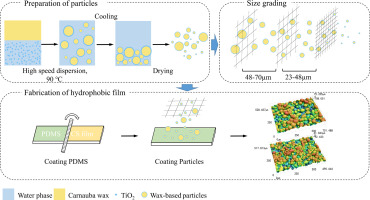Carnauba Wax Emulsion industry insight