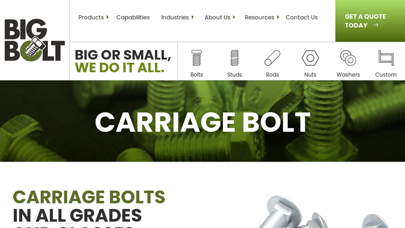 Carriage Bolt Manufacturer for OEMs and Distributors