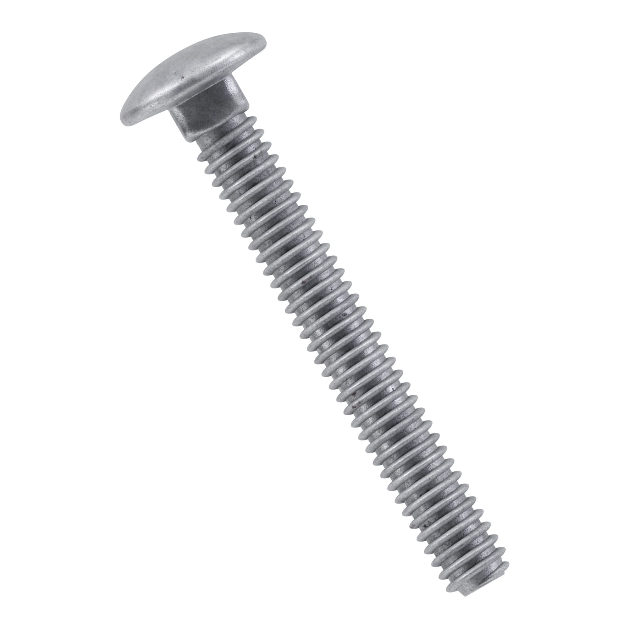 Carriage Bolts