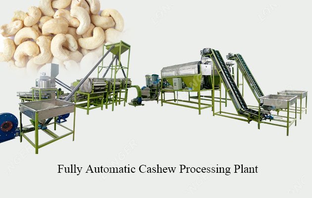 Cashew Powder industry insight