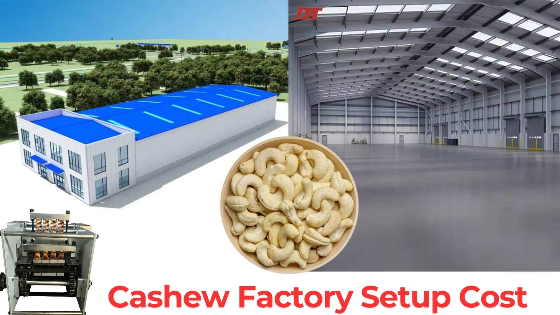Cashew Powder industry insight