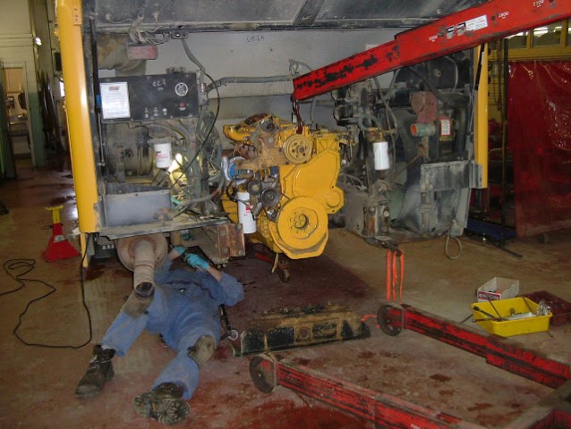 Cat 3116 Engine industry insight