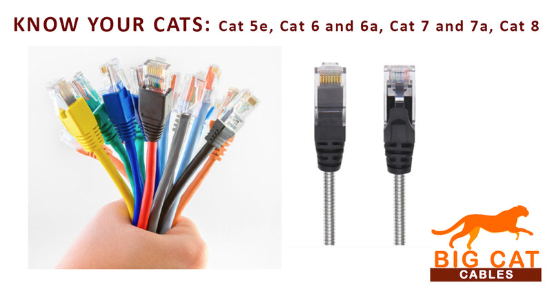 CAT5E, CAT6, CAT7, CAT8: Which To Choose?
