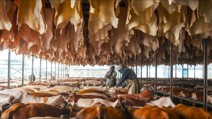 Cattlehide Leather industry insight