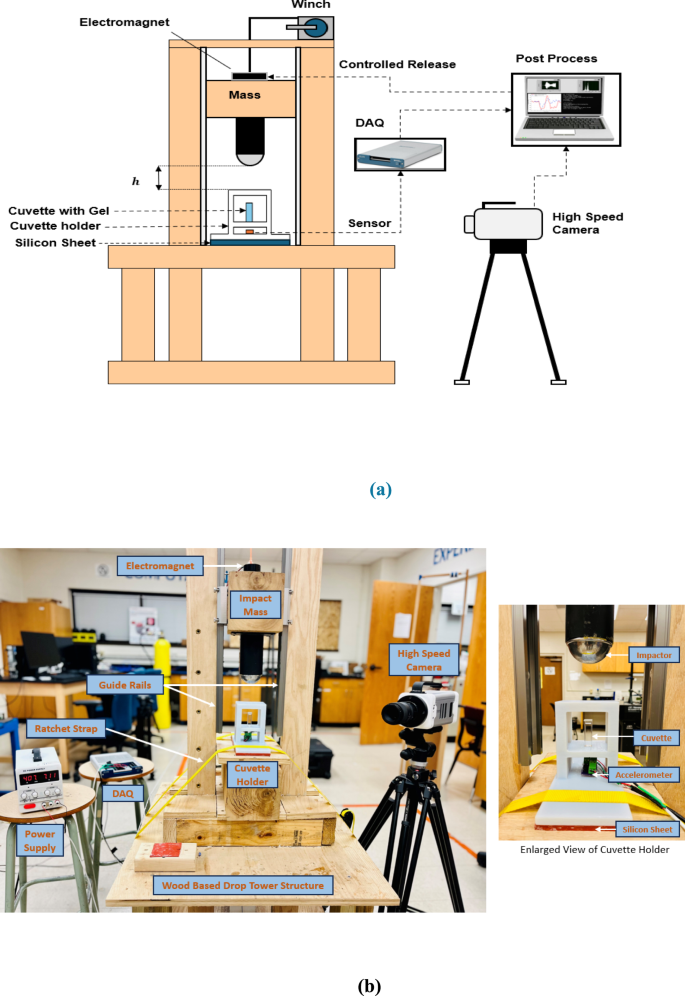 Cavitation Gel industry insight