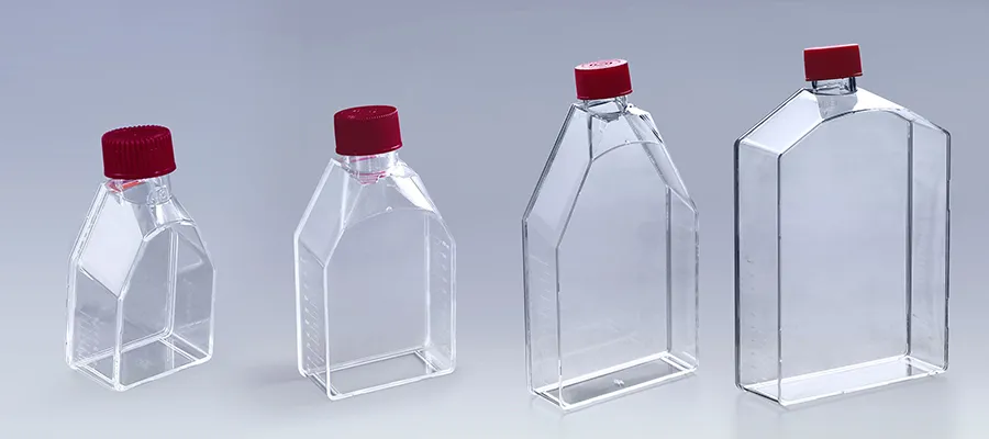 Cell Culture Flask