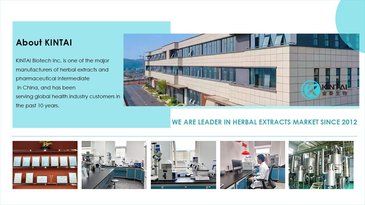 Centella Asiatica Extract Manufacturers