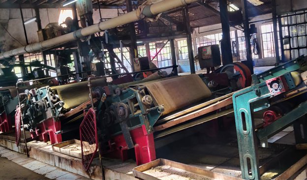 Chai Tea Latte Machine industry insight