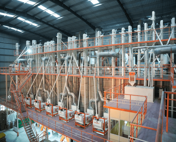 Chana Powder industry insight