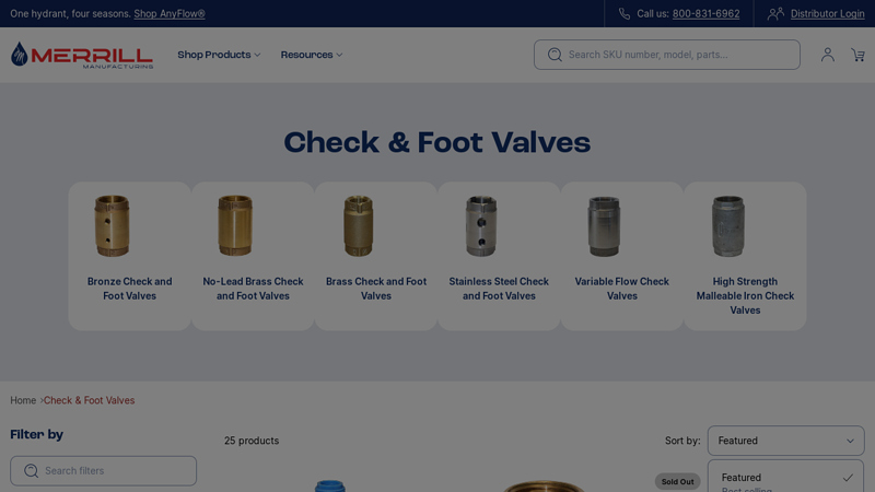Check & Foot Valves