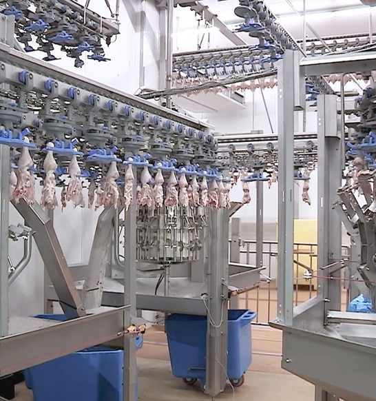 Chicken Wholesale Distributors industry insight