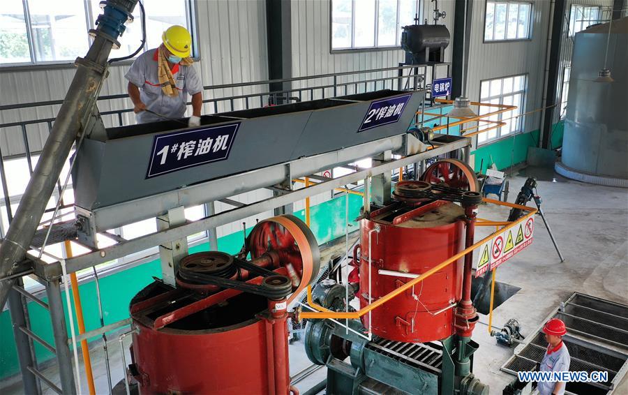 Chinese Prickly Ash industry insight