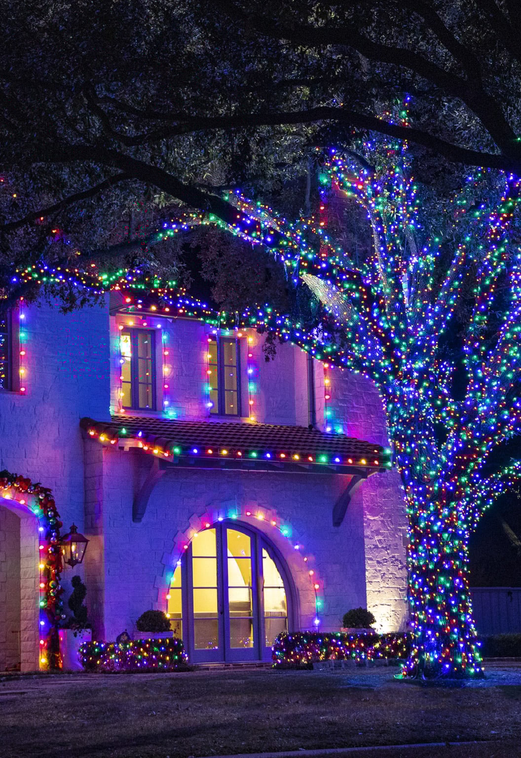 Christmas Designers: Christmas Lights