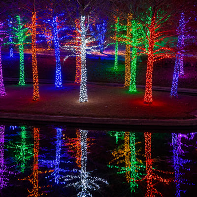 Christmas Designers: Christmas Lights