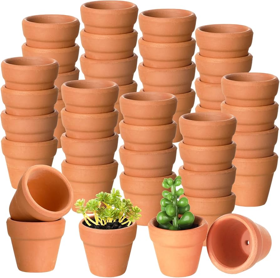 Clay/Ceramic Planters