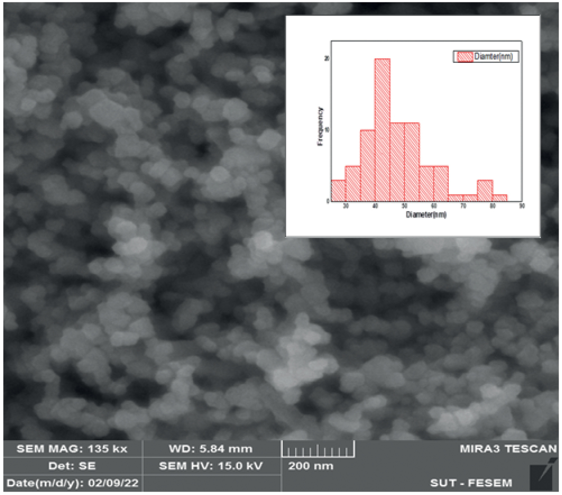 Clindamycin And Metronidazole industry insight
