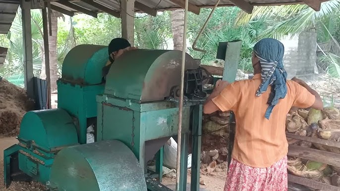 Coco Coir Chips industry insight