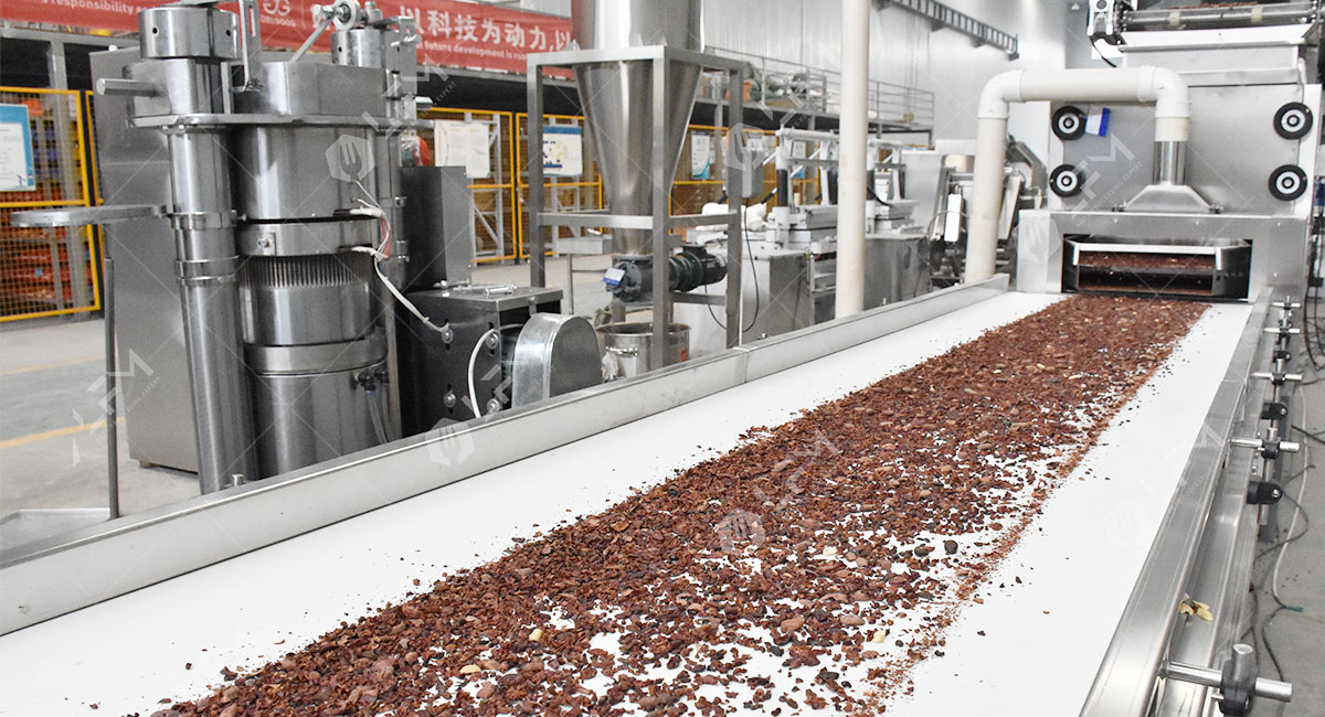 Cocoa Bean Oil industry insight