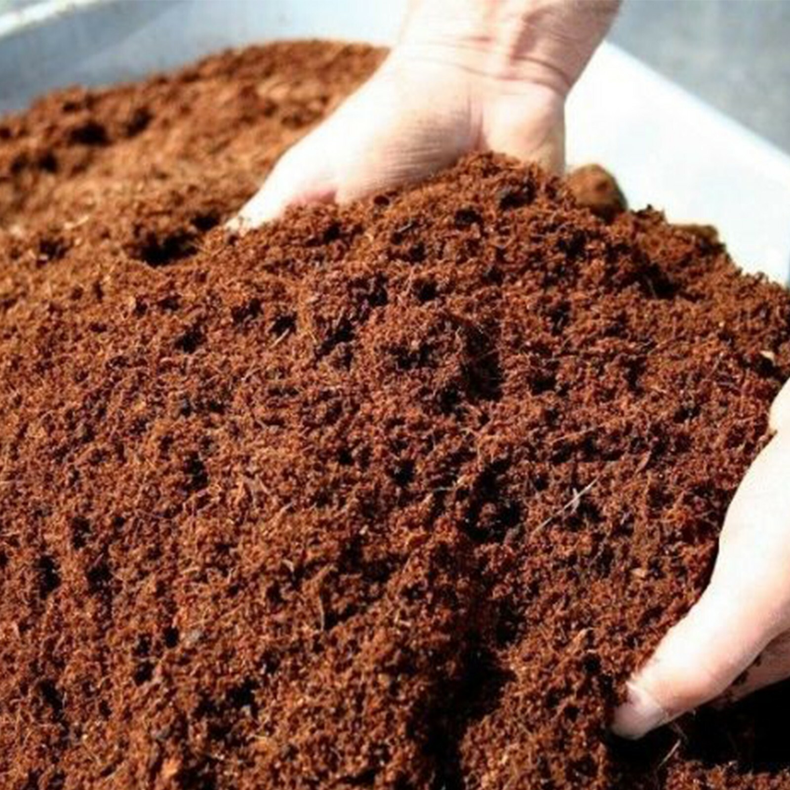 Cocopeat Manufacturers & Suppliers