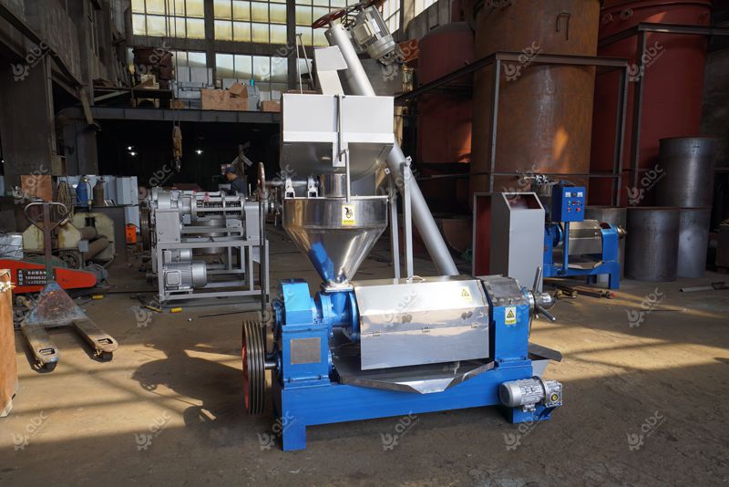 Cold Pressed Machine industry insight