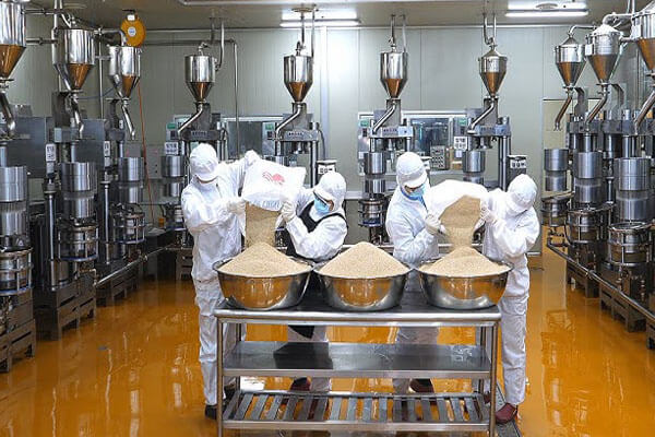 Cold Pressing Oil industry insight