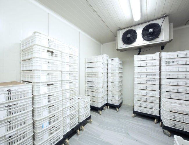 Cold Storage Room manufacturer In Pune