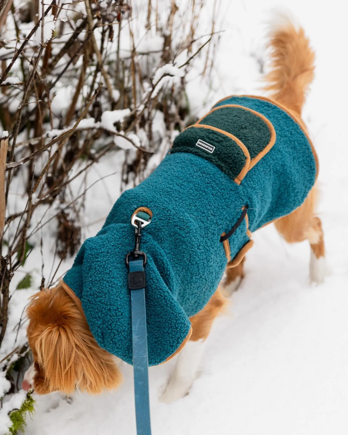 COLLAR Company — pet products manufacturer