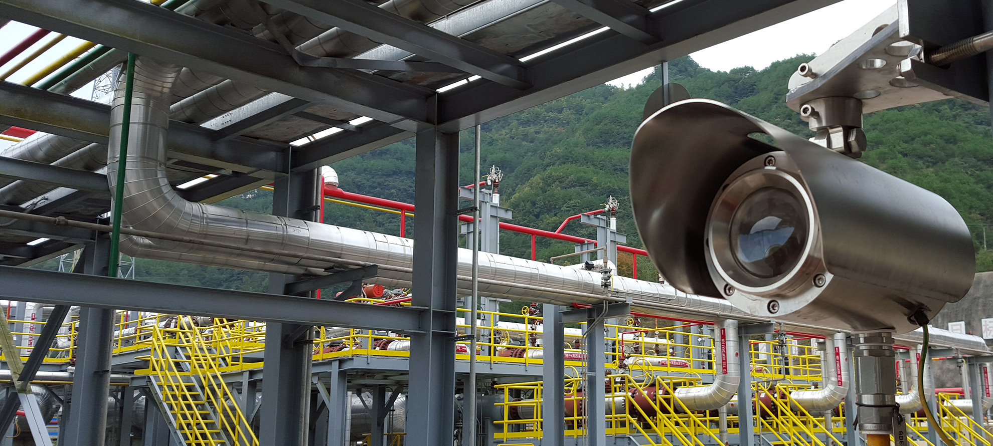 Combustion Leak Detector industry insight