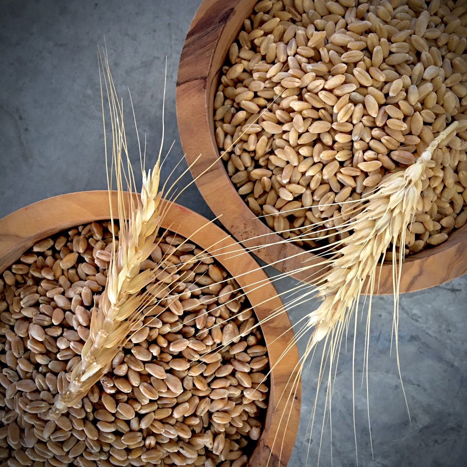 Community Grains True Whole Grain