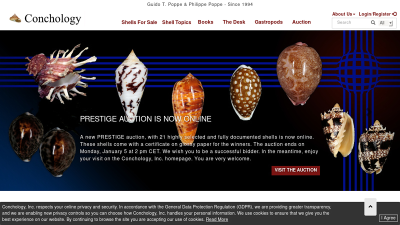 Conchology: Shells For Sale