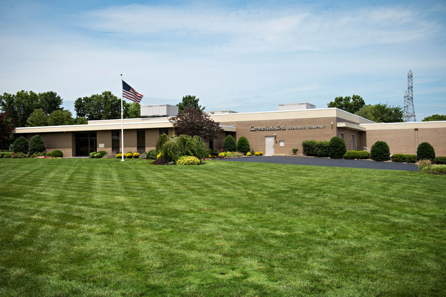 Consolidated Bearings