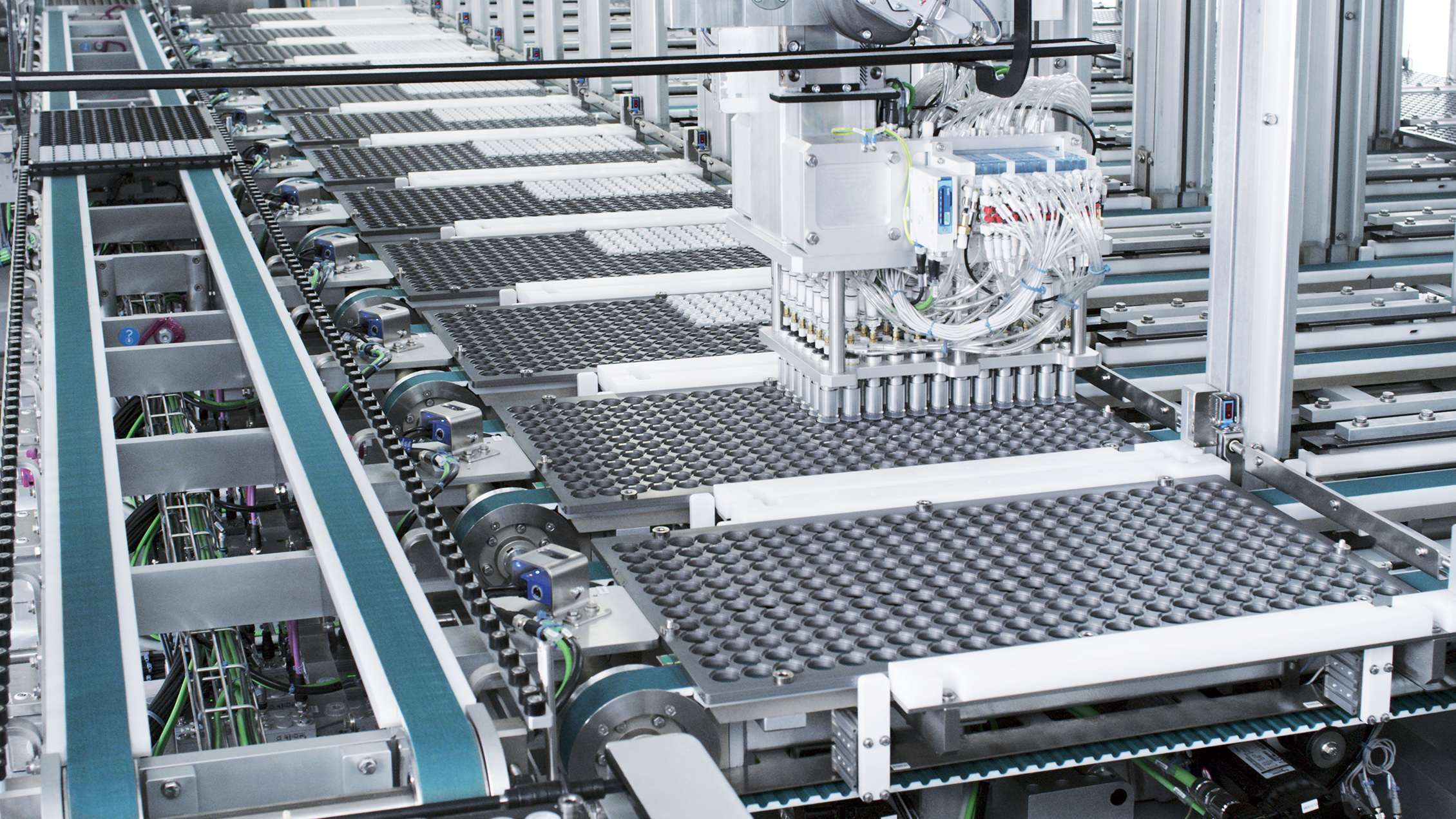 Contact Lens industry insight