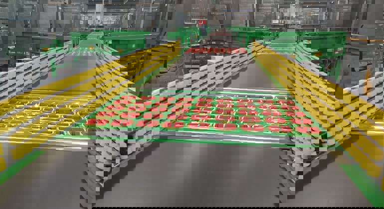 Conveyor Belt Grocery industry insight