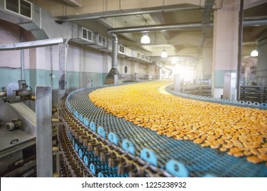 Conveyor Belt Grocery industry insight