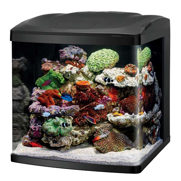 Coralife Brand Aquatic Products