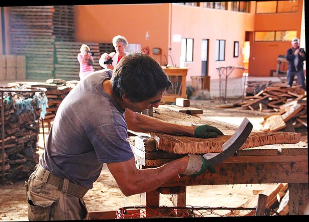 Cork Products From Portugal industry insight