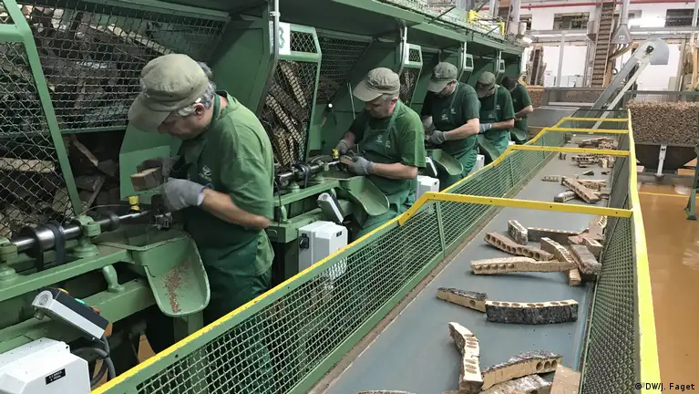 Cork Products From Portugal industry insight