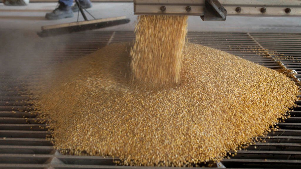 Corn Starch Bulk industry insight