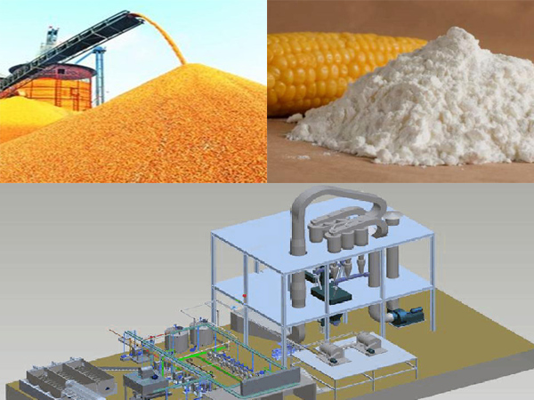 Corn Starch Bulk industry insight