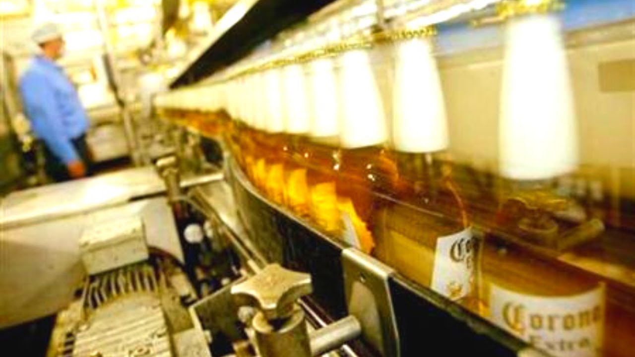 Corona Beer Wholesale industry insight