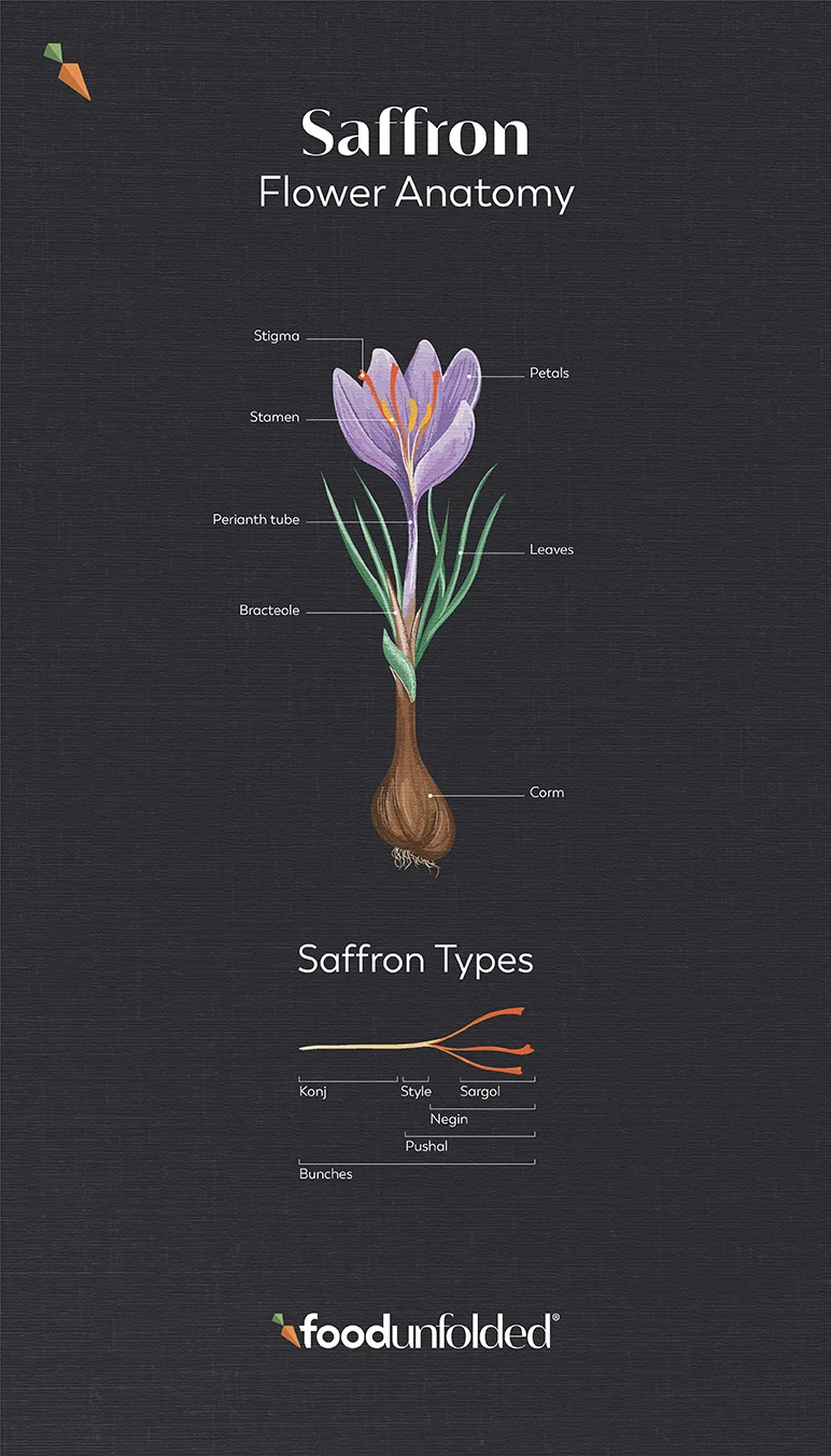 Cost Of Saffron Per Kg industry insight