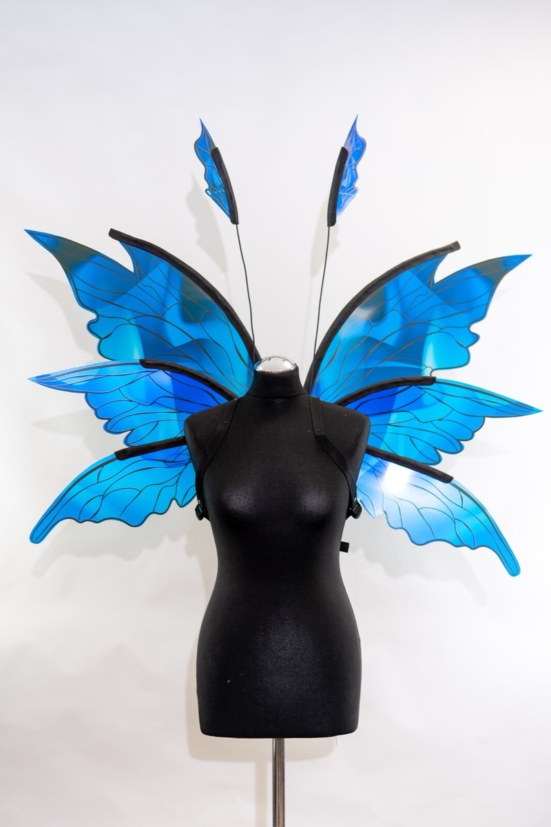 Costume Wings
