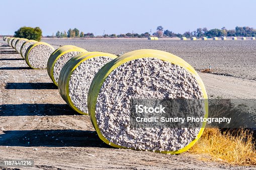 Cotton Bales & Cotton Bolls