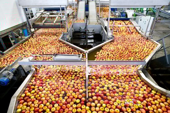 Counting Machine industry insight