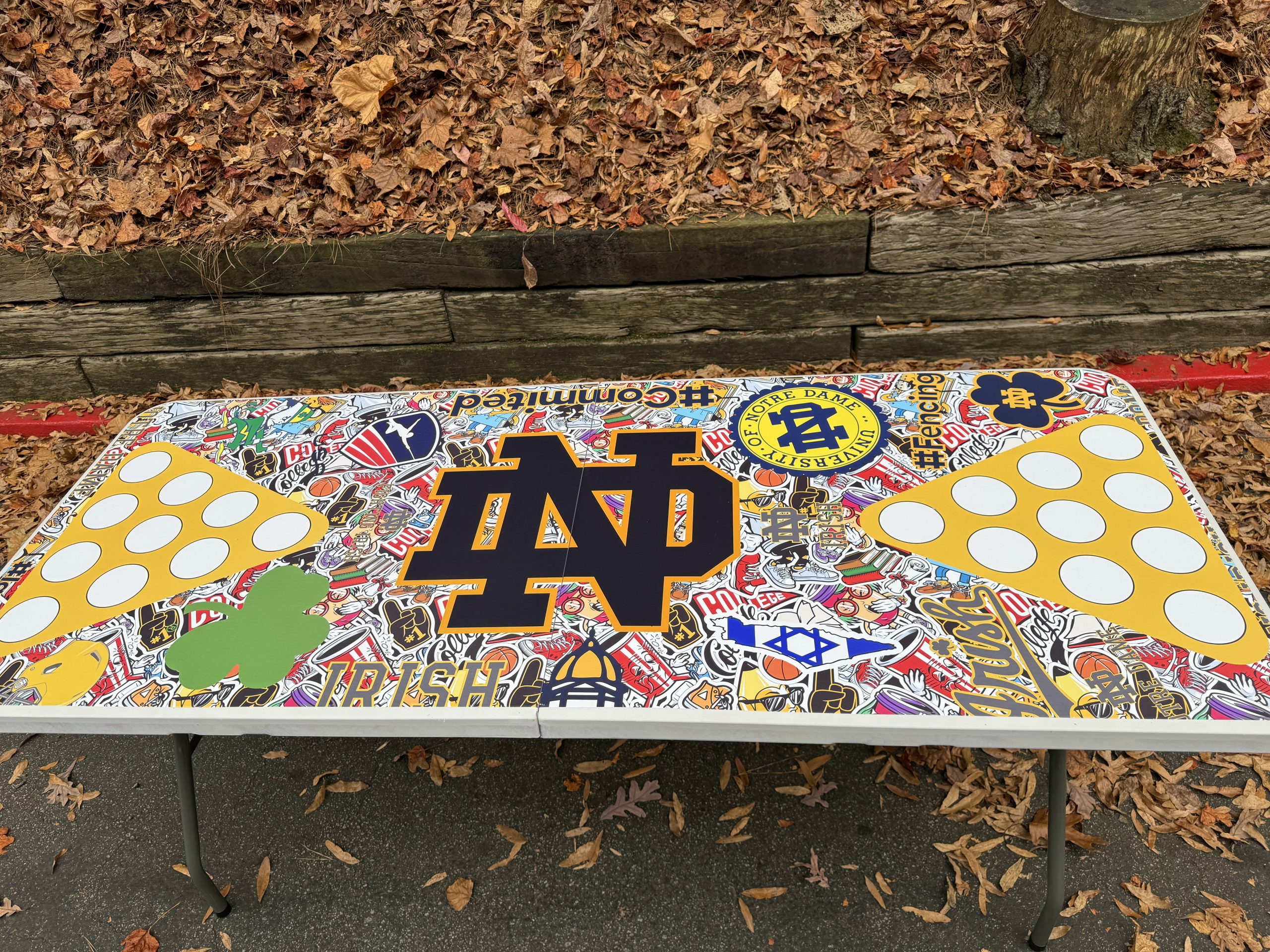 Create Your Own Custom Beer Pong Table